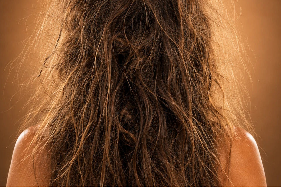 Long, frizzy brown hair viewed from the back on a person against a warm brown gradient background.