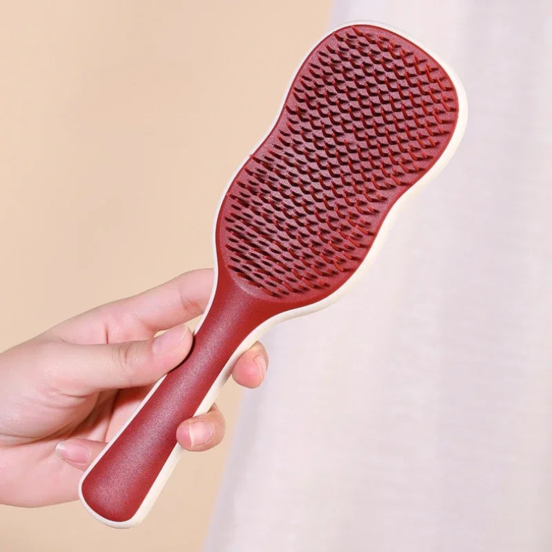 Air Cushion Detangling Brush