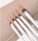 Eyeshadow Makeup Brushes Kit