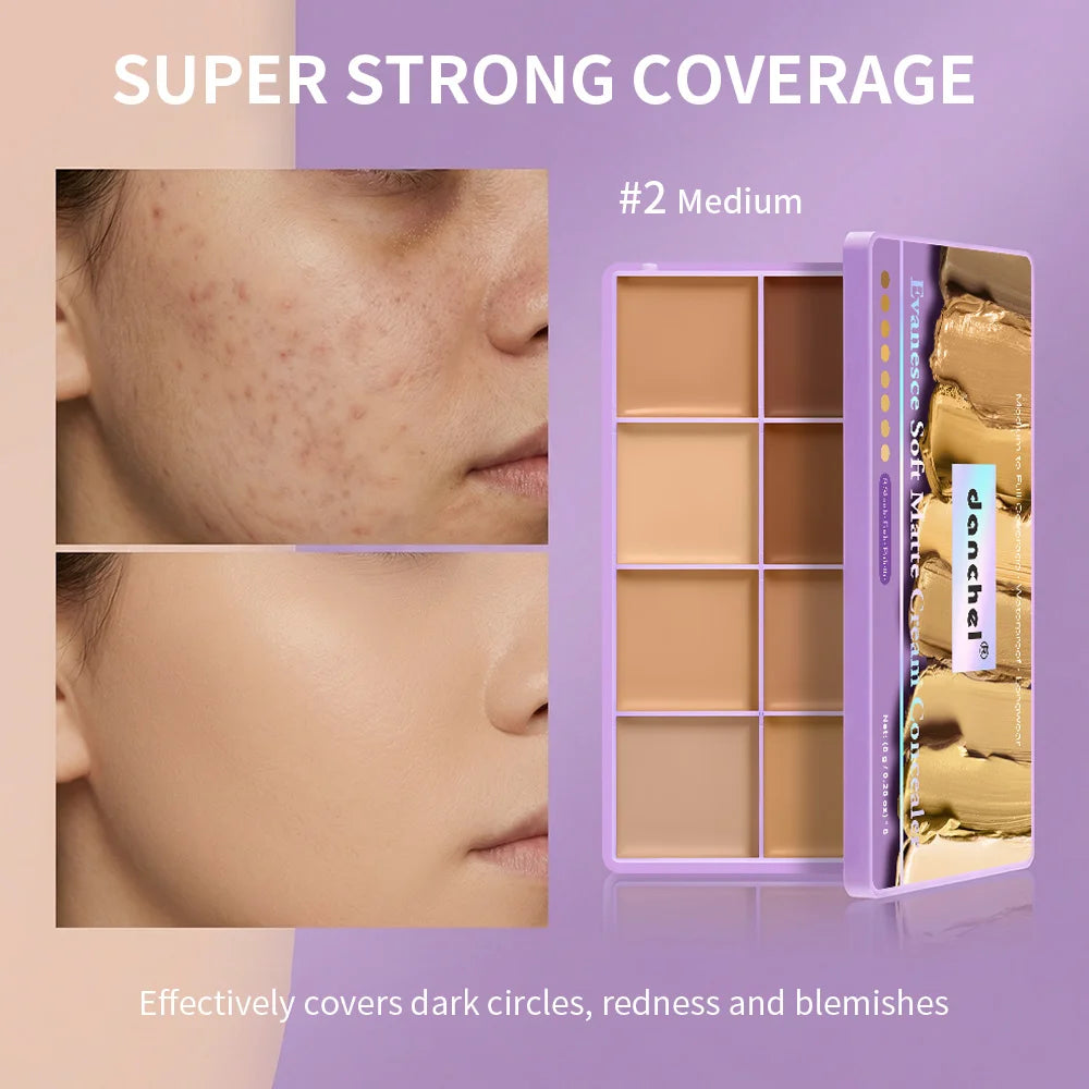 Multi-shade Concealer Palette