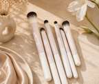 Eyeshadow Makeup Brushes Kit